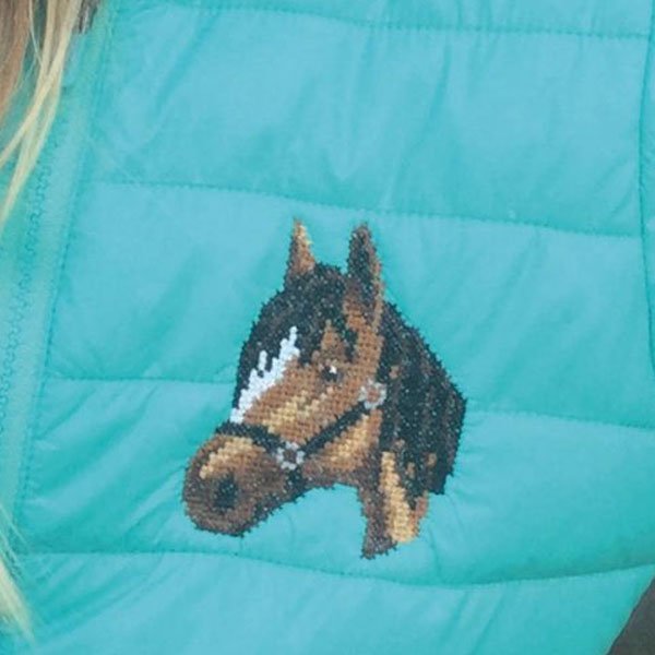 Hest - broderi p vandoplselig stramaj