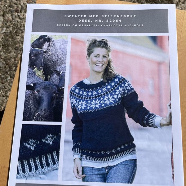 Sweater med Stjernebort