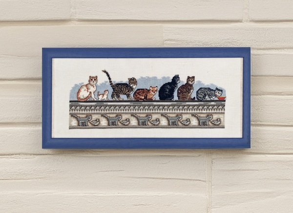 Katte p� r�kke - oph�ng med katte p� r�kke