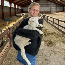 Sonja sweater - PetiteKnit