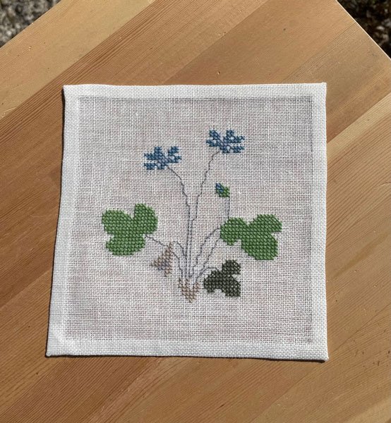 Vilde Blomster 2 - broderihfte