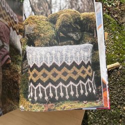 Vildmarksinterir - strikkebog