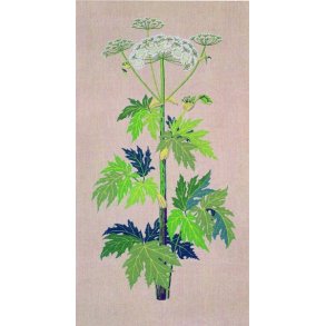 Bjrneklo - ophng med broderi