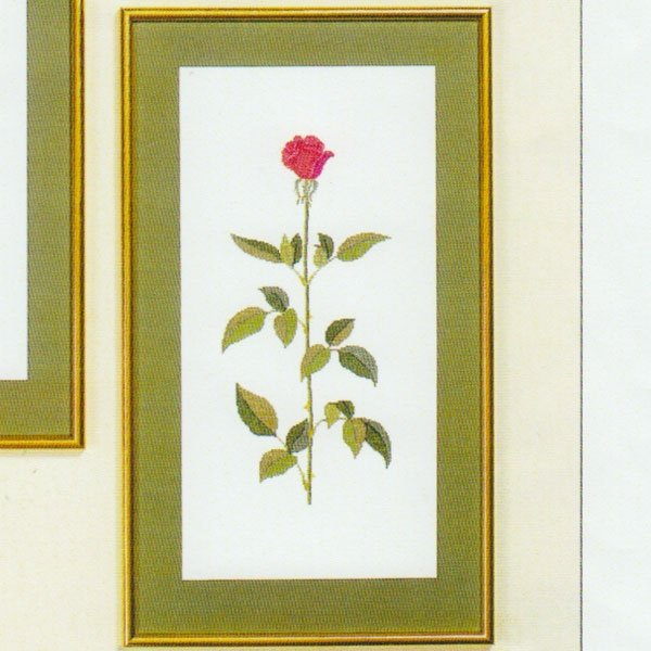 Baccara rose - ophng med broderi 