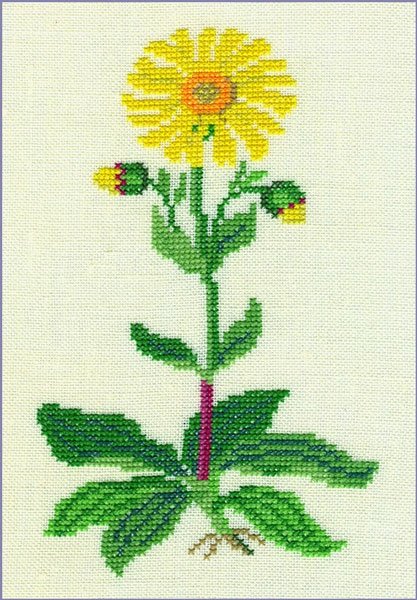 Alm. guldblomme - ophæng med broderi