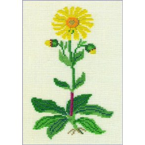 Alm. guldblomme - ophng med broderi
