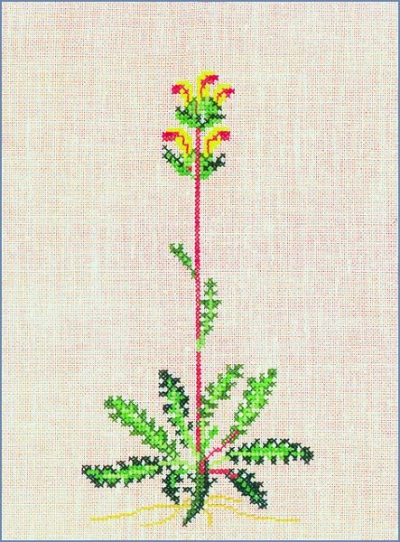 Kongescepter - ophng med broderi