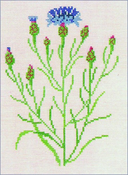 Kornblomst - ophng med broderi