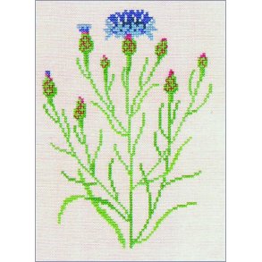 Kornblomst - ophng med broderi