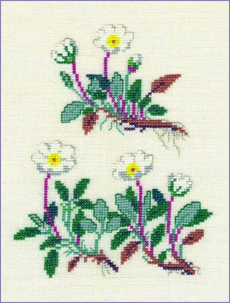 Rypelyng - ophng med broderi