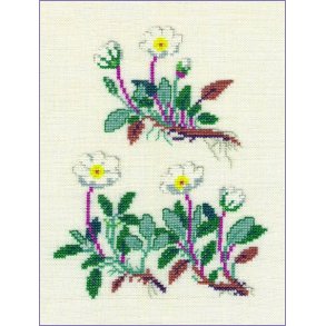 Rypelyng - ophng med broderi