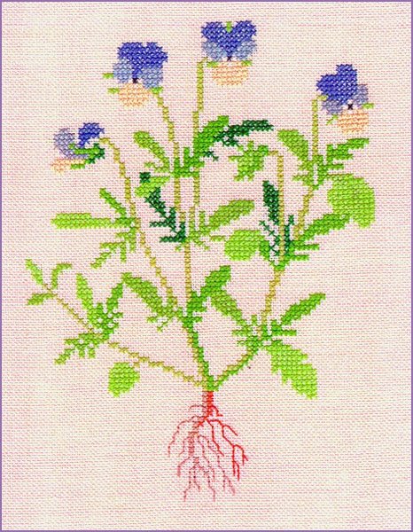 Stedmoderblomst - ophng med broderi