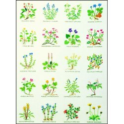 Blomster - ophæng med broderi