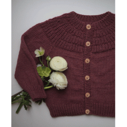 Ankers jakke  - strik i Anina garn