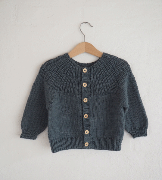 Ankers jakke  - strik i Anina garn