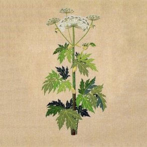 Bjrneklo - ophng med broderi