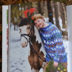 Julesweater - strikkebog